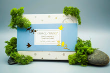Load image into Gallery viewer, June Truffle Collection - Box of 20