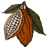 Cacao