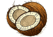 Coconut