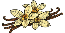 Vanilla